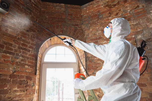 Why You Should Choose Our Mold Remediation Services in Cayce, SC