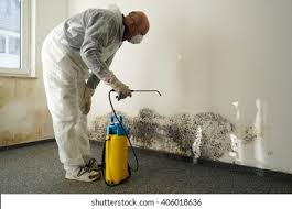 Best Mold Remediation for Healthcare Facilities in Cayce, SC